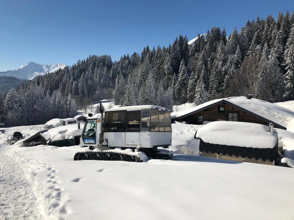 La Chanterelle - Mountain Lodge La Cote d'Arbroz エクステリア 写真