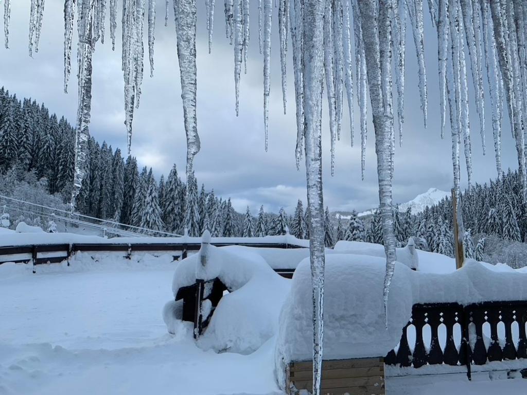 La Chanterelle - Mountain Lodge La Cote d'Arbroz エクステリア 写真