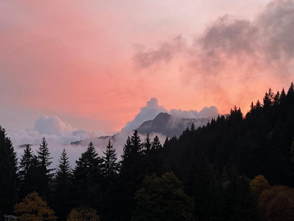 La Chanterelle - Mountain Lodge La Cote d'Arbroz エクステリア 写真