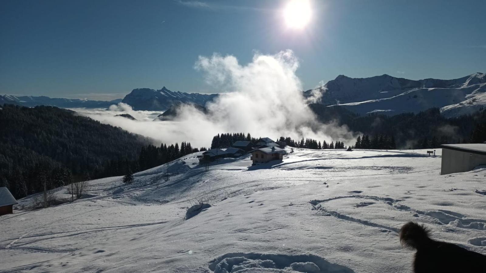 La Chanterelle - Mountain Lodge La Cote d'Arbroz エクステリア 写真