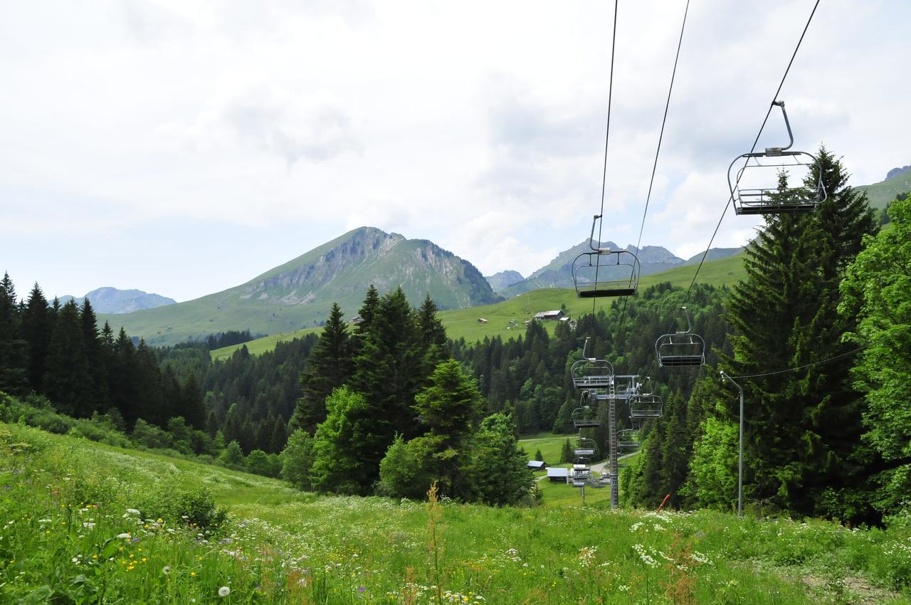 La Chanterelle - Mountain Lodge La Cote d'Arbroz エクステリア 写真