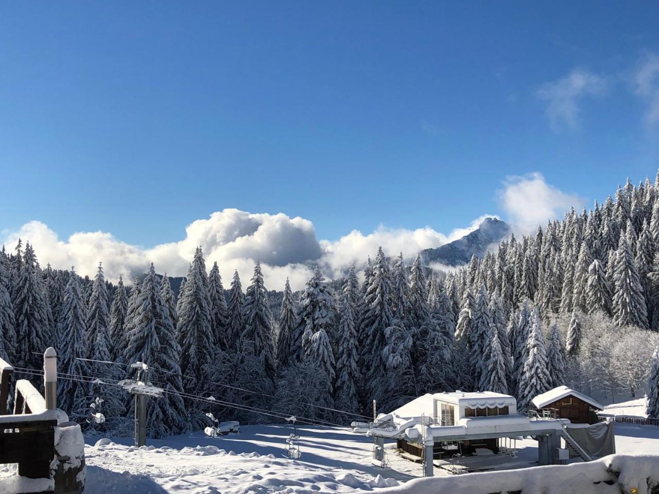 La Chanterelle - Mountain Lodge La Cote d'Arbroz エクステリア 写真