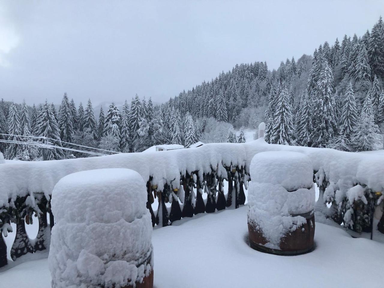 La Chanterelle - Mountain Lodge La Cote d'Arbroz エクステリア 写真